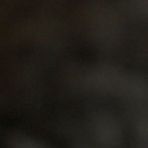 Meet your Posher, Raquel